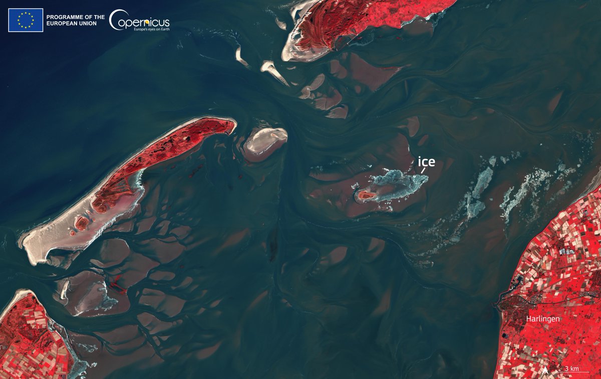 #Copernicus for snow and ice monitoring 1/3

The ongoing #ColdWave is bringing below-average temperatures to Europe 🌨️🧊🥶

⬇️Part of the Wadden Sea was frozen when our #Sentinel2 🇪🇺🛰️ orbited over the #Netherlands on 10 January