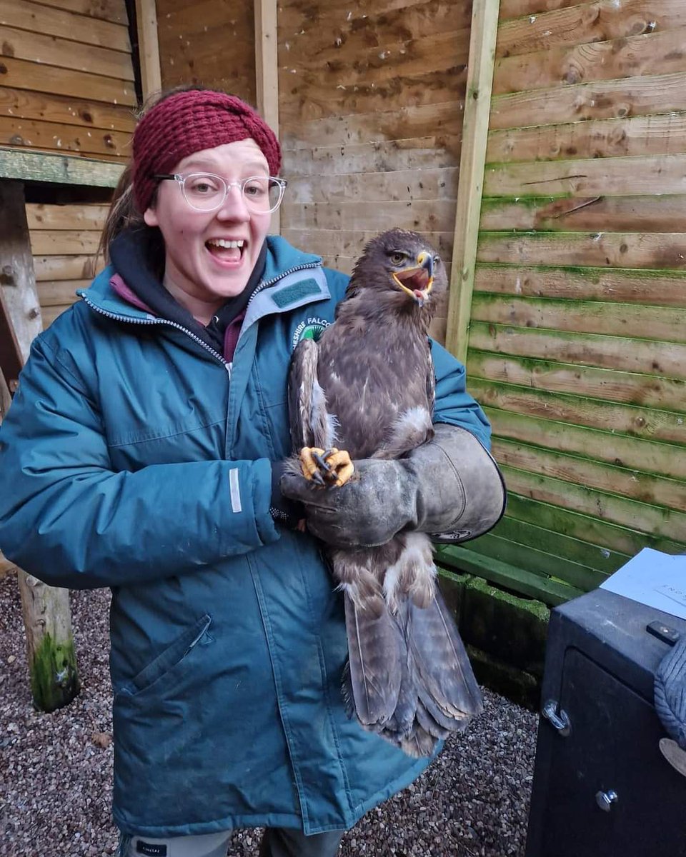 burrowingbolt's tweet photo. This is Taryn (Taz) who works with us at @CheshFalconry the team have been very busy giving the aviary birds their health checks & as you can see the wonderful Taz loves her job ๐๐ฆ๐ฆ
๐ #falconry #keeper #zookeeper #animalhandler #healthcare #team #caring #greatplacestowork https://t.co/S0KmrTD1Qk