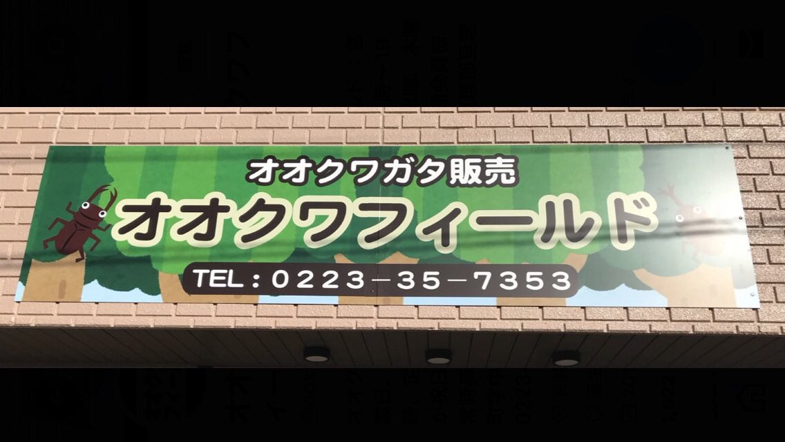ookuwafield's tweet photo. ◉オオクワフィールド◉
明日、1月12日（金）夕方入荷予定
【テクニカルアート（RTN）】
Nマット・5リットル
Uマット・5リットル
上記のマットが入荷予定となります。 https://t.co/SMQBFk5bPi