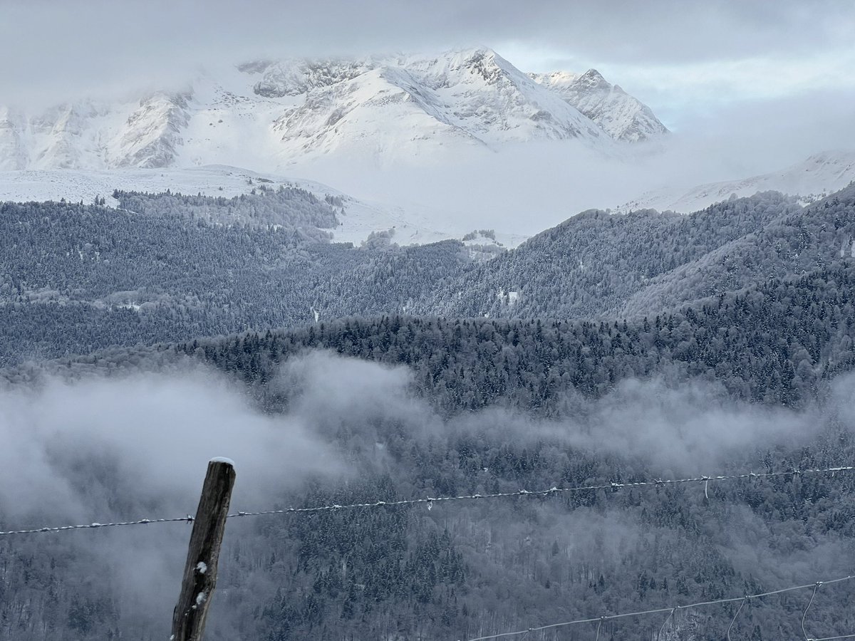 corinne_crabe's tweet photo. Quelle ambiance ce matin sur la montée du col d’aspin et la descente vers le lac de Payolle #aurelouron #pyrenees #aspin #neige #montagne @Meteo_Pyrenees https://t.co/EmeQpVOUU0