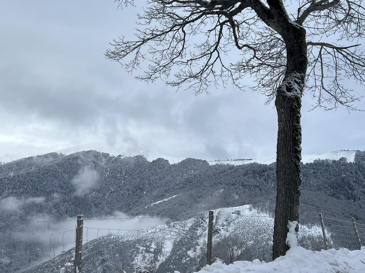 corinne_crabe's tweet photo. Quelle ambiance ce matin sur la montée du col d’aspin et la descente vers le lac de Payolle #aurelouron #pyrenees #aspin #neige #montagne @Meteo_Pyrenees https://t.co/EmeQpVOUU0