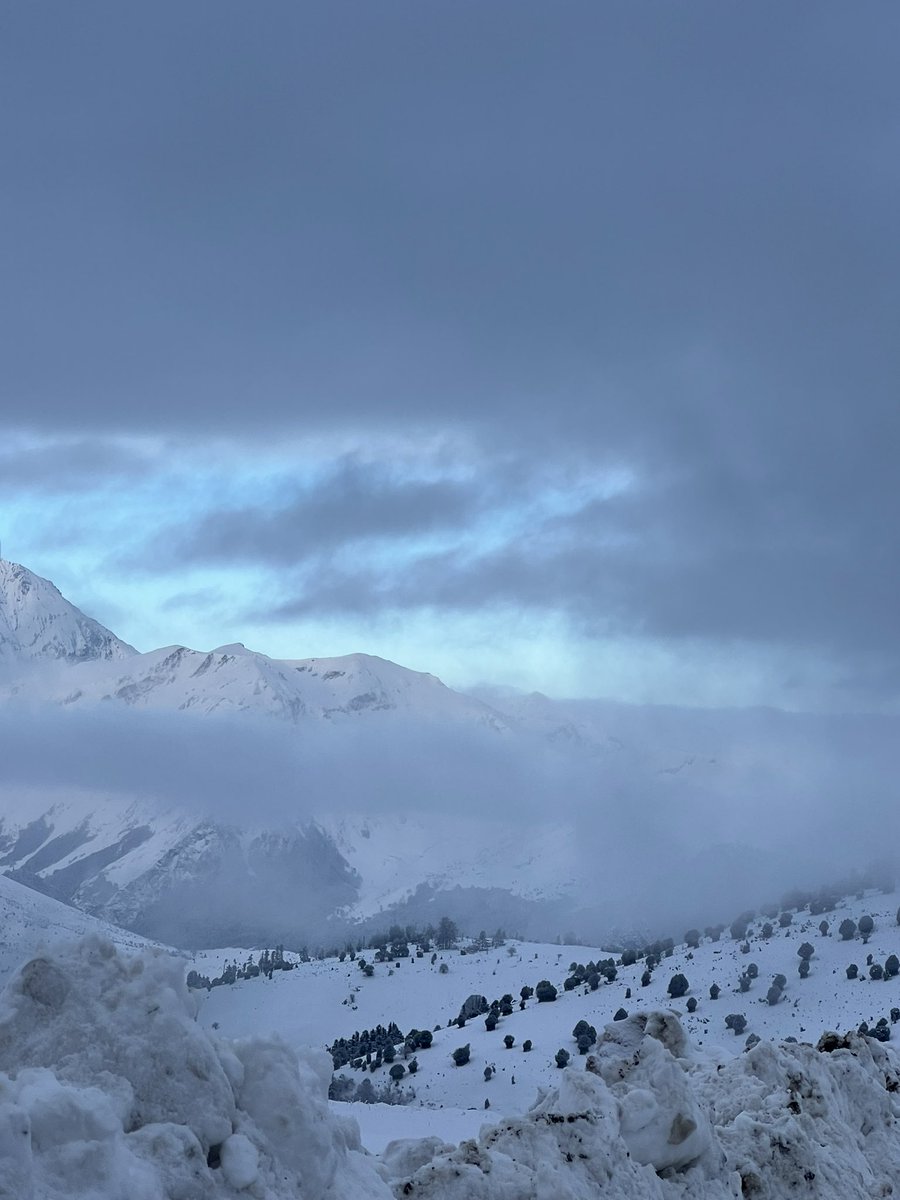 corinne_crabe's tweet photo. Quelle ambiance ce matin sur la montée du col d’aspin et la descente vers le lac de Payolle #aurelouron #pyrenees #aspin #neige #montagne @Meteo_Pyrenees https://t.co/EmeQpVOUU0