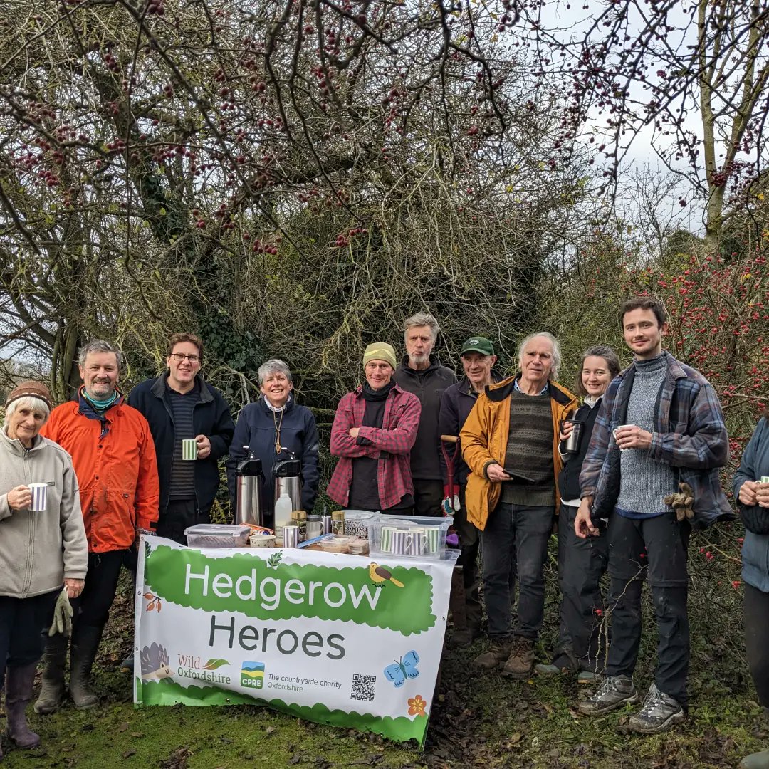 Great hedgeplanting at Great Haseley!  Nearly 400m new hedgerow, thanks to Great Haseley PC, @OxConservation, @Wild Oxfordshire  and @cpre #hedgerowheroes
