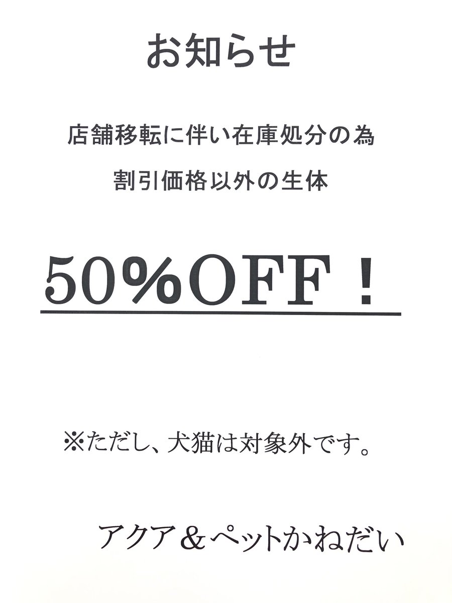 Kanedaiichihara's tweet photo. 明日1月12日からです！
皆様のご協力のおかげで生体がかなり減ってきてます。
まだ掘り出し物があるかもしれません。
またご協力いただけると助かります。
よろしくお願いいたします。 https://t.co/gjrHXtZjsT
