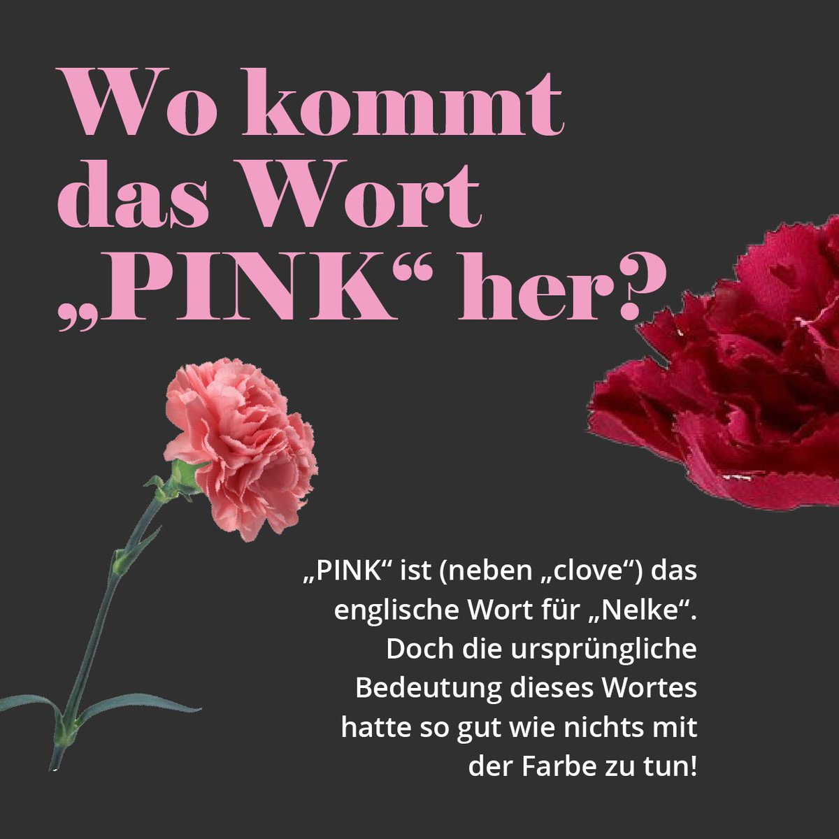 PINK Personal tweet media