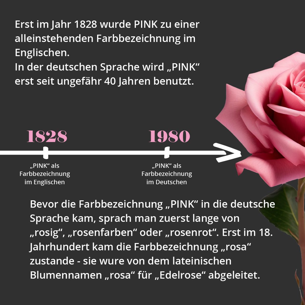 PINK Personal tweet media