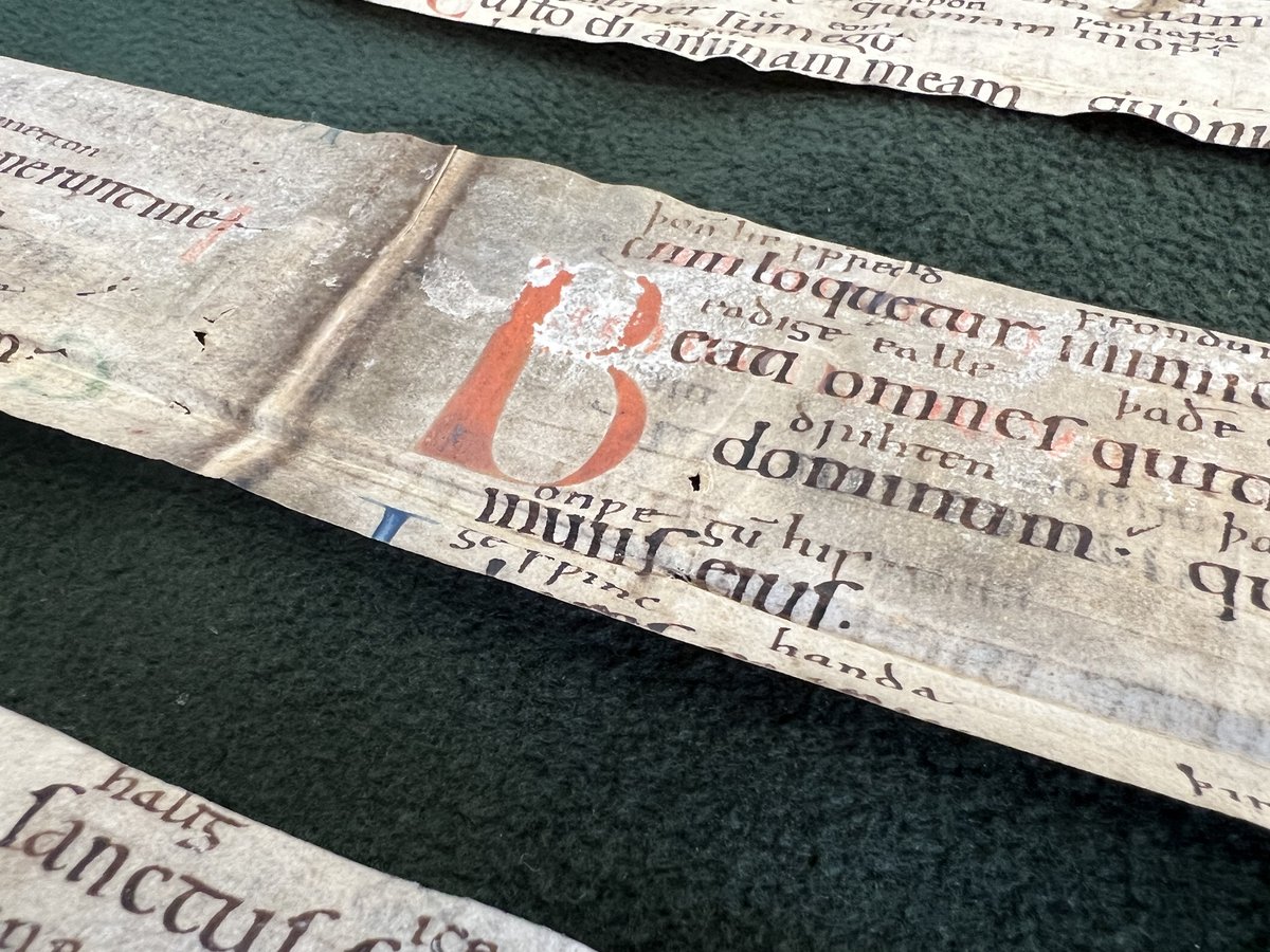 Duizend jaar oude fragmenten ontdekt
Collega Lisette maakte een prachtige vondst in ons archief! In een aantal 17de-eeuwse boekbanden bleken stukjes perkament te zitten van een nog veel ouder boek, uit de 11de eeuw. Onze nieuwe oudste stukken! 
Het hele verhaal: