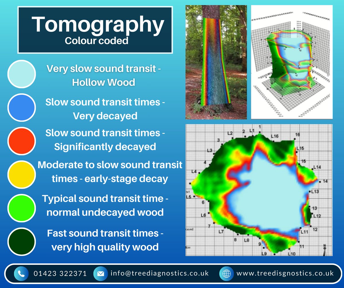 Tomography - What is it and what does it mean? 🔨🌳
Read more 👇
linkedin.com/treediagnostics

#Tomography #FakoppTraining #Fakopp #TreeDiagnostics #AcousticTomography #EducationalContent #EducationInNature #YorkshireServices #BoroughbridgeBusinesses