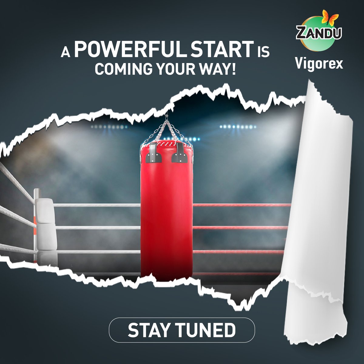 Exciting News Coming Soon. Get ready for our “Powerful” collaboration with the first Olympic Boxer Champion.

Stay Tuned to know more.

#ZanduVigorex #Zandu #Powerful #Boxing #PowerfulCollaboration #OlympicBoxerChampion