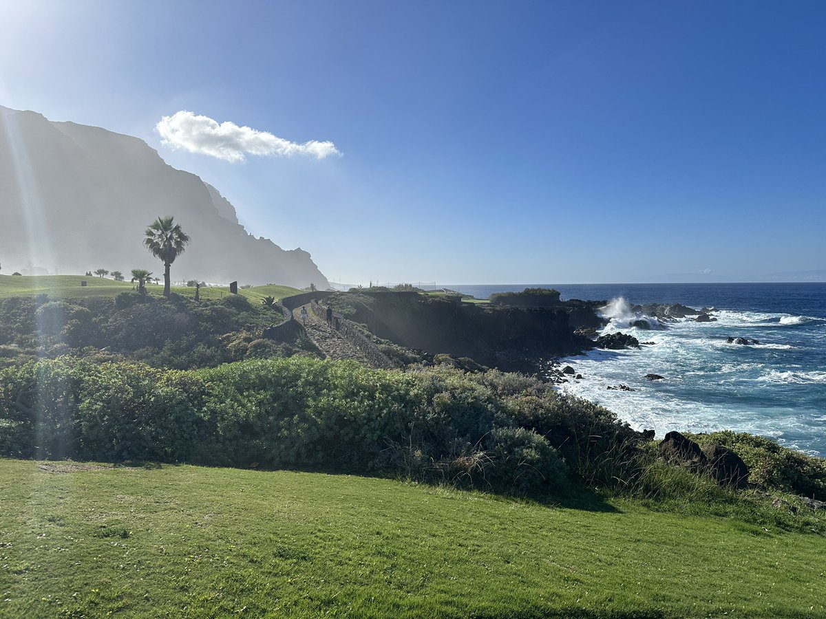 TimBichara's tweet photo. Tenerife is pretty damn nice in January https://t.co/SqzCwYr72Y