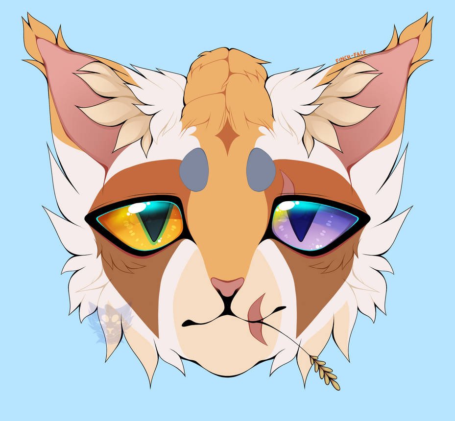 FinchleyFace's tweet photo. @ChillDrakaina Some kitties for you <333 https://t.co/WC39gi4utH