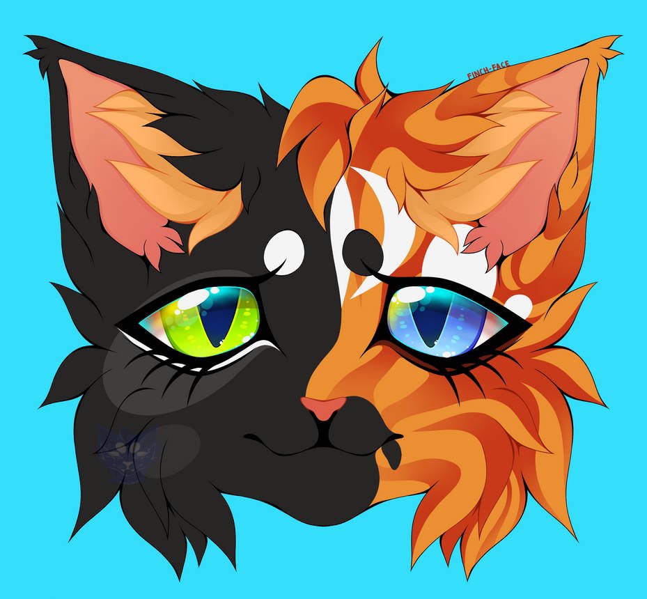 FinchleyFace's tweet photo. @ChillDrakaina Some kitties for you <333 https://t.co/WC39gi4utH