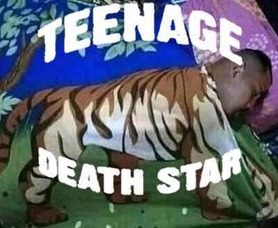 pecinta flora & fauna (@kolomenjingmrch) on Twitter photo 