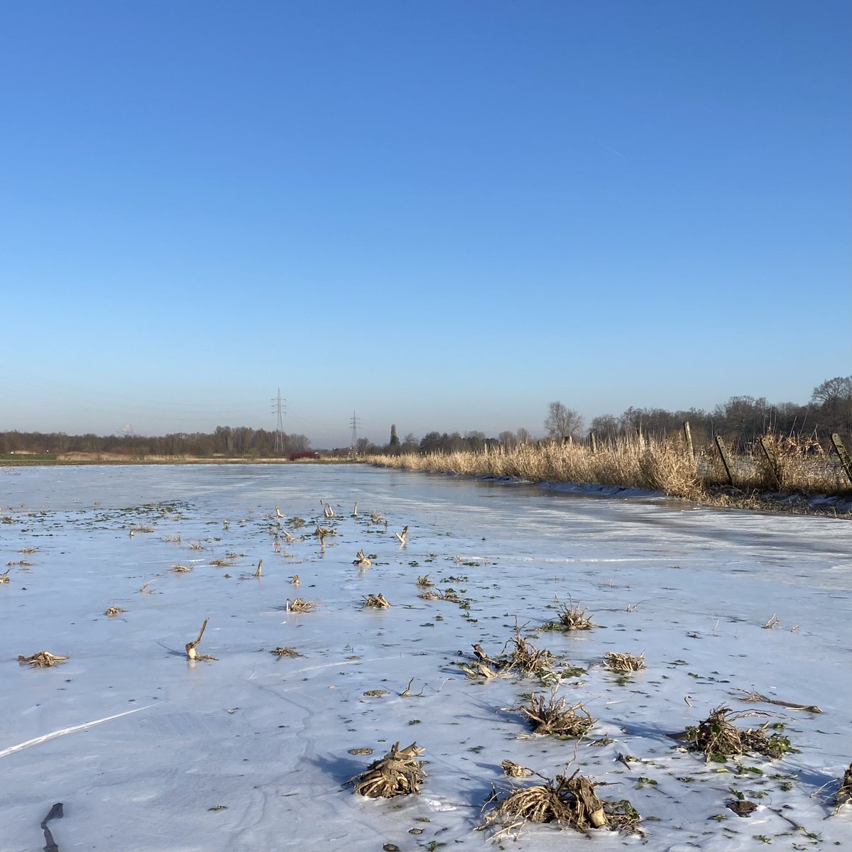 #vrtweer @Weerbord @MeteovistaBe @HetweerinBelgie @HendrikRemue Heusden, 11/01, 11.52, ❄️,