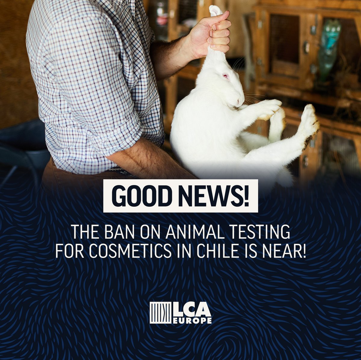 Chile officially banned #CosmeticAnimalTesting! Bill 13.966-11 passed the final vote in the Senate. Chile is the 45th country to #BeCrueltyFree!