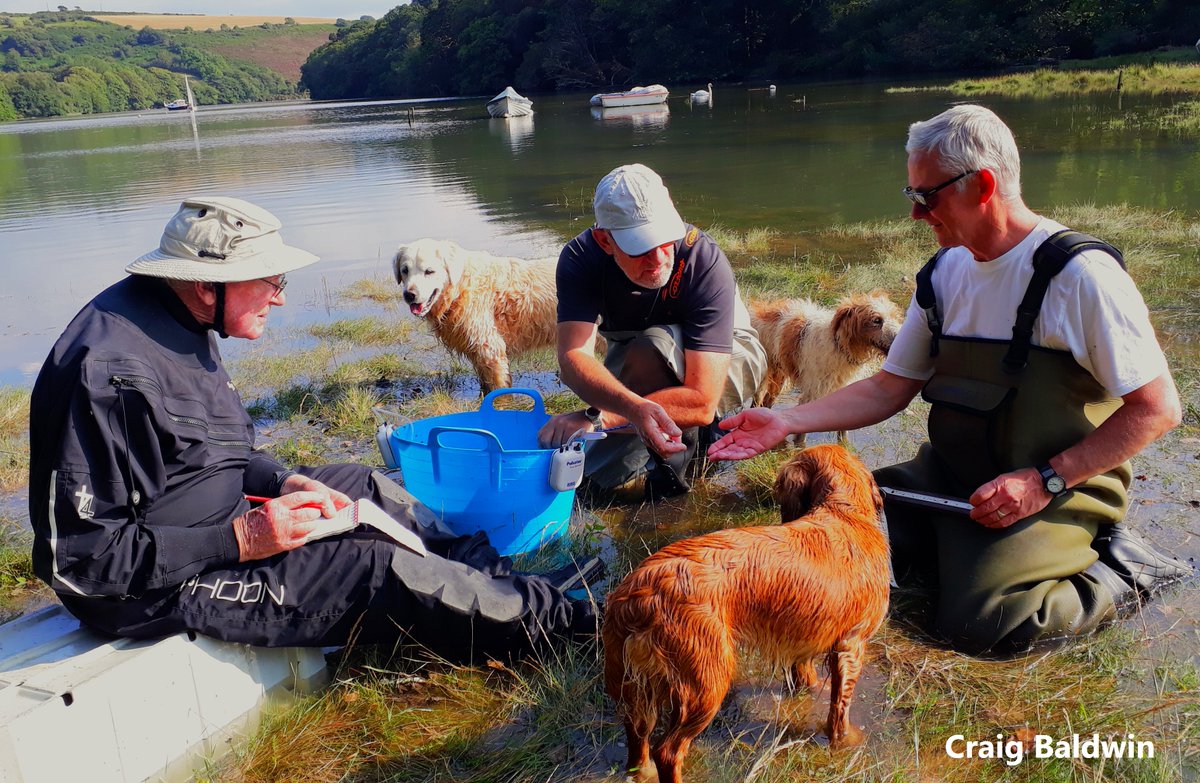 Bravo Joe Watson, <a href="/KieranHyder/">Kieran Hyder</a> + team for this paper and massive credit to the vision, tenacity and 20+ yr hard work from volunteers, mainly recreational anglers <a href="/bassangleruk/">BASS</a>, for creating the best available #seabass recruitment time series in the SW UK: tinyurl.com/muj23ueh