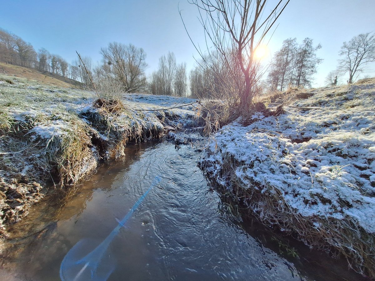 Januari #2024 in #Limburg