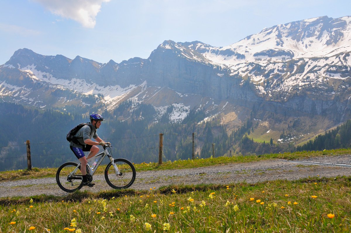 KantonNW's tweet photo. Der #Nidwaldner #Regierungsrat hat das #Mountainbike-#Konzept verabschiedet. Auf Basis des Konzeptes soll in den nächsten Jahren ein rechtwirksamer #Mountainbikewegplan erarbeitet und umgesetzt werden. 🚵‍♀️🚵🚵‍♂️

➡️Mehr Infos: https://t.co/xod2rWlanC https://t.co/lyBWkBfSGZ