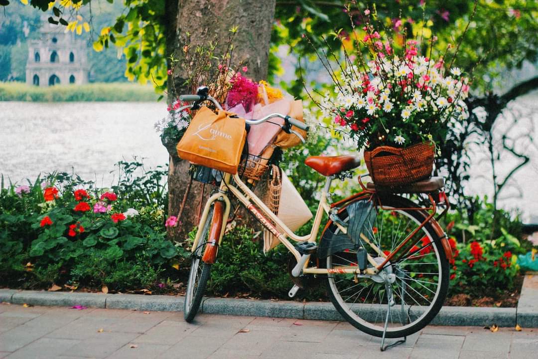 CheckinViet's tweet photo. Dù sao thì, mỗi khoảnh khắc trong cuộc sống chúng ta đều rất đáng được lưu giữ lại…❤️

Những bức ảnh Hà Nội trước thềm năm mới!

#byme
#checkinhanoi
#checkintravel https://t.co/YZTVuwdXol