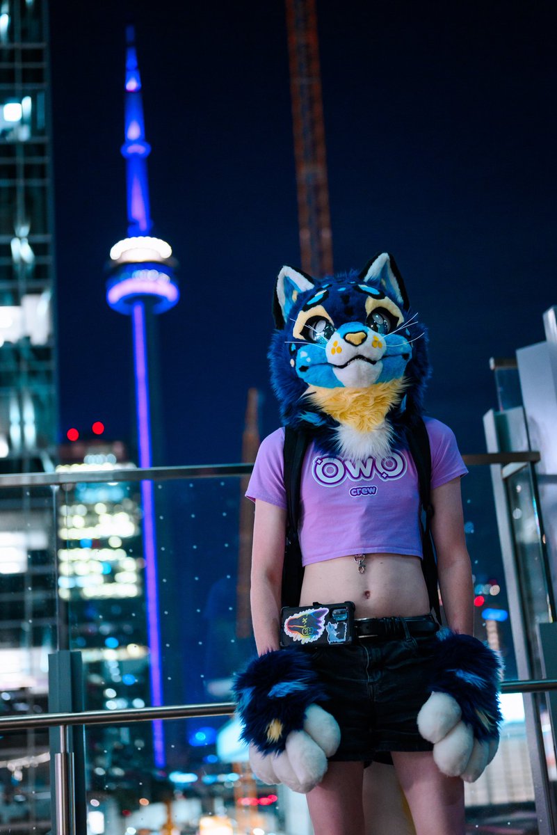 Knox_Zune's tweet photo. @furcon This is how you will find me. I'll be wearing Laine. @Icy_Paw was the amazing creator who put alot of effort in her creation as a pre-made that I purchased at the @anthrocon dealers den last year. https://t.co/0f9GWMyG4w
