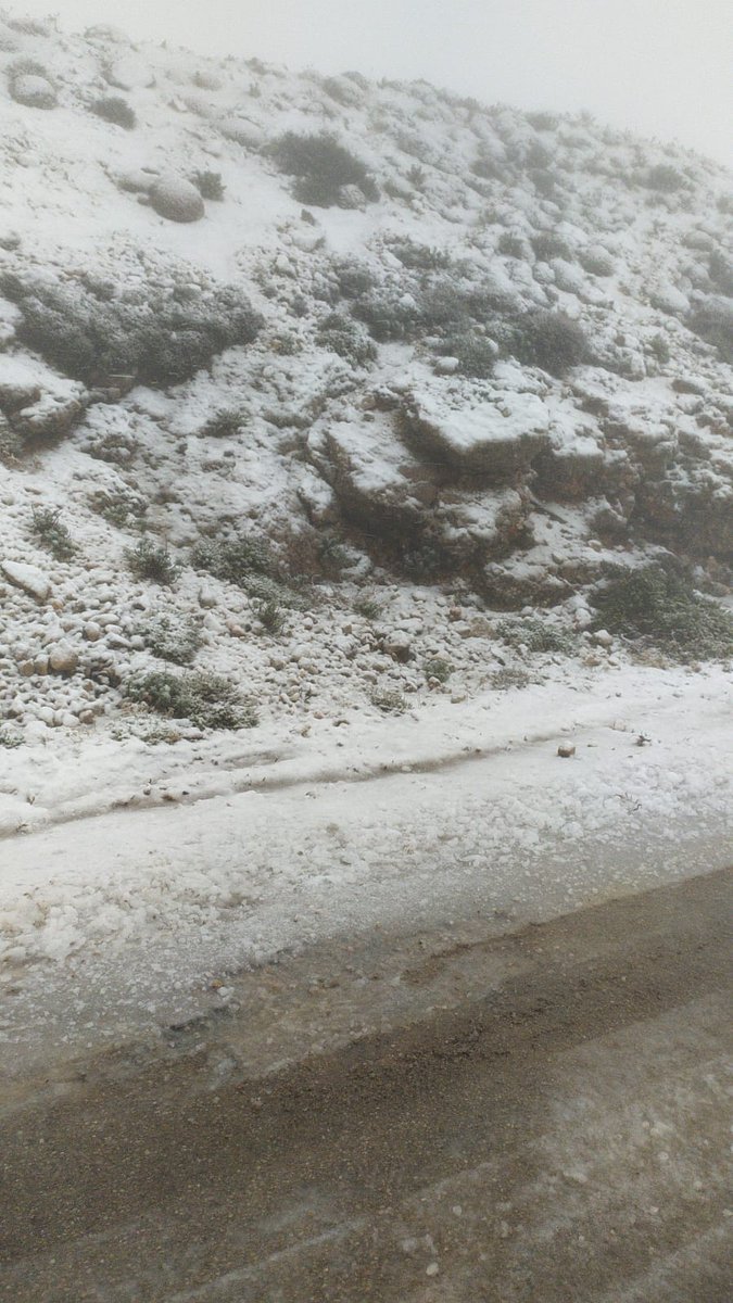 albertdarder's tweet photo. Continua nevant al Puig Major. Bona precipitació, però falta fred com per baixar sa cota més avall dels 1.300 metres. 
Son Torrella acumula 53 litres ses últimes 24h. I frega ja els 200 litres en el que portam de 2024! Or per als embassaments, sens dubte. https://t.co/e9lb4Jvkpf