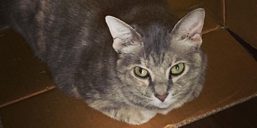 ㅤㅤㅤㅤㅤㅤㅤㅤ
ㅤㅤㅤㅤㅤㅤㅤㅤ
                               🫳🏻
ㅤㅤㅤㅤㅤㅤㅤㅤ
ㅤㅤㅤㅤㅤㅤㅤㅤ