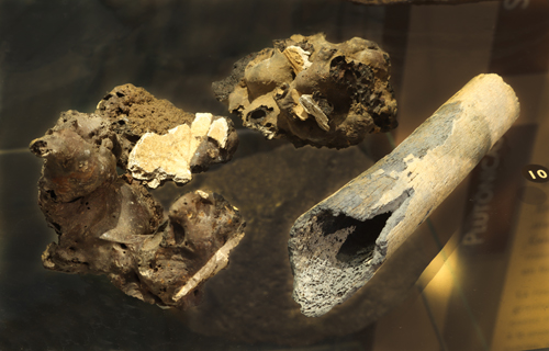 MNCN_Col's tweet photo. The first written references we have about the island #LaPalma date back to the 14th century and speak of an aboriginal population of close to 4,000 people. We preserve some volcanic slag from prehistoric #eruptions on the island with human bone remains #HistSci #Geology #Museums https://t.co/kao9Ue3u7l