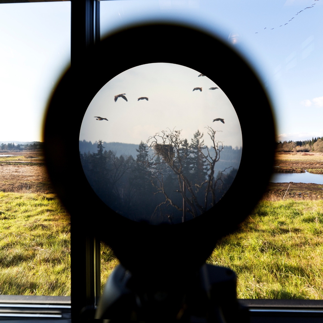 What is the Big Garden Birdwatch? 🐦⠀
⠀
It's that time of the year again! From the 26th - 28th January you can get involved in the RSPB’s annual 'Big Garden Birdwatch'. 

But just what is it, and how do you get involved? Head to our blog to learn more 👉 blog.happybeaks.co.uk/help-advice/bi…