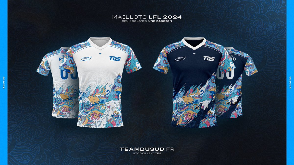 TeamduSud_'s tweet photo. ⚔️ Ces armures, ce sont celles de la Team du Sud 

Portez fièrement nos couleurs et soutenez la TDS en 2024 sur https://t.co/oUaFKstP5z

#GOTDS 🌊 https://t.co/Sb3kOPE1Am