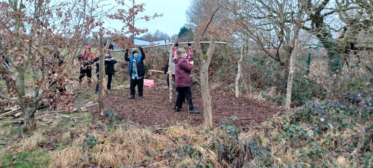 Amazing forest school morning with year 6 building large habitats, making sling shots @church_prim @BfdForestSchls @ForestofBrad