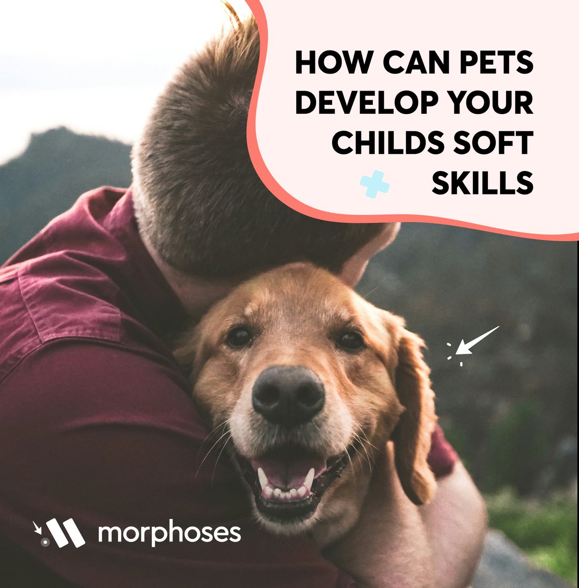 Morphoses tweet media