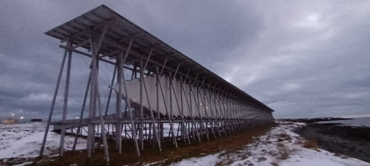 Bjsjer's tweet image. 