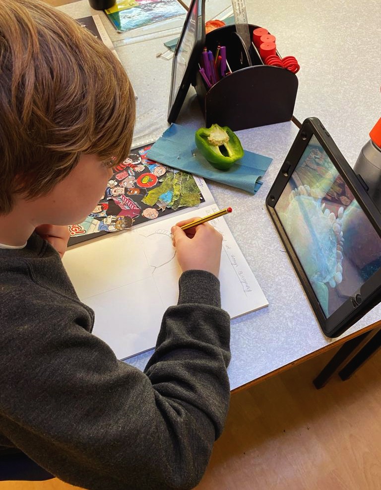 Year6TSP's tweet image. Continuing with our #TSPArt photography unit, we learned that macro photography is all about showcasing a subject larger than it is in real life — a close-up of something small. We used the inside of a pepper for our focus, taking a picture on our iPad and sketching the image.📷