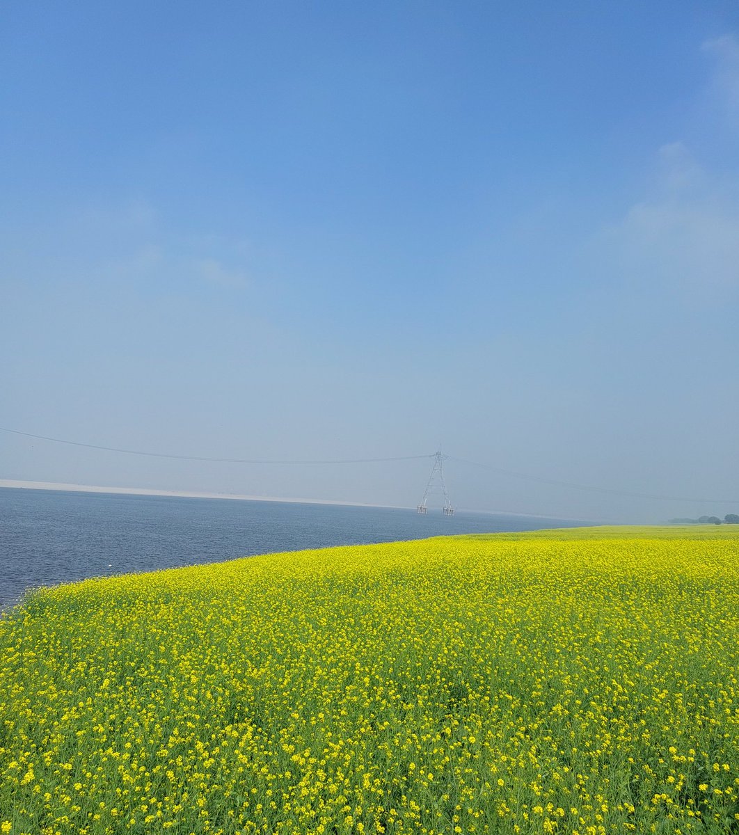 sudhirsays3's tweet photo. "गर फिरदौस बर रूये ज़मी अस्त, 
हमी अस्तो हमी अस्तो हमी अस्त"

📌 At :– Chunar, Mirzapur 📸 https://t.co/5YGGNeRLTx
