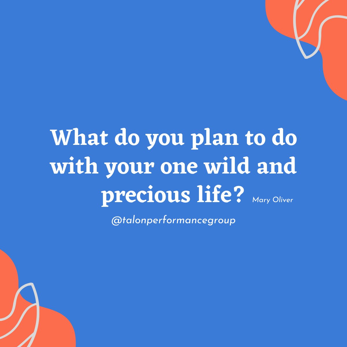TalonPerfGroup's tweet image. Every thought will change your life. Every decision, every action, every word spoken.

Most situations we face on a day-to-day basis don't have life or death consequences, so our decisions don't need to be precise #lifechanges #decisions #actions #presentmoment #newbeginnings