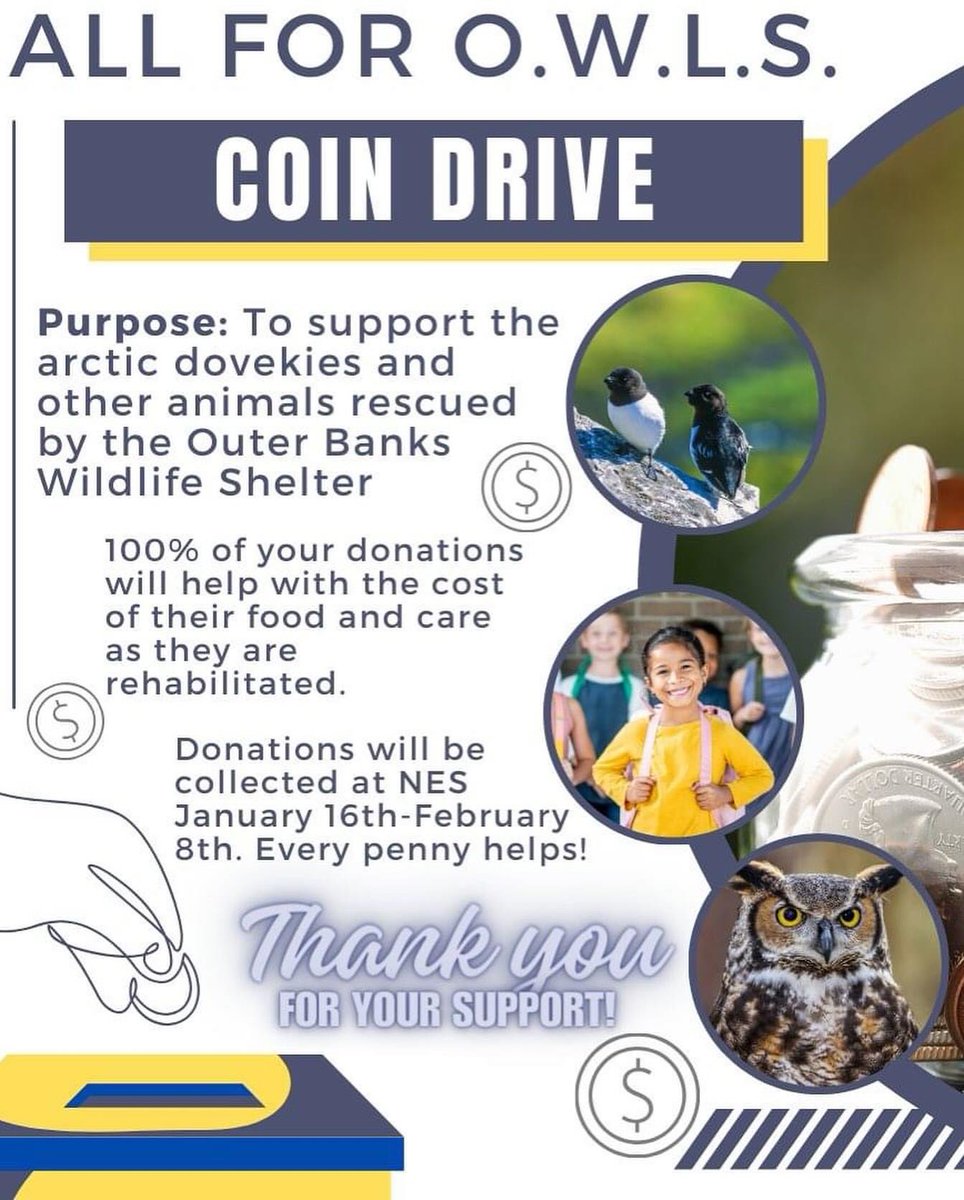 Newport Elementary School tweet media