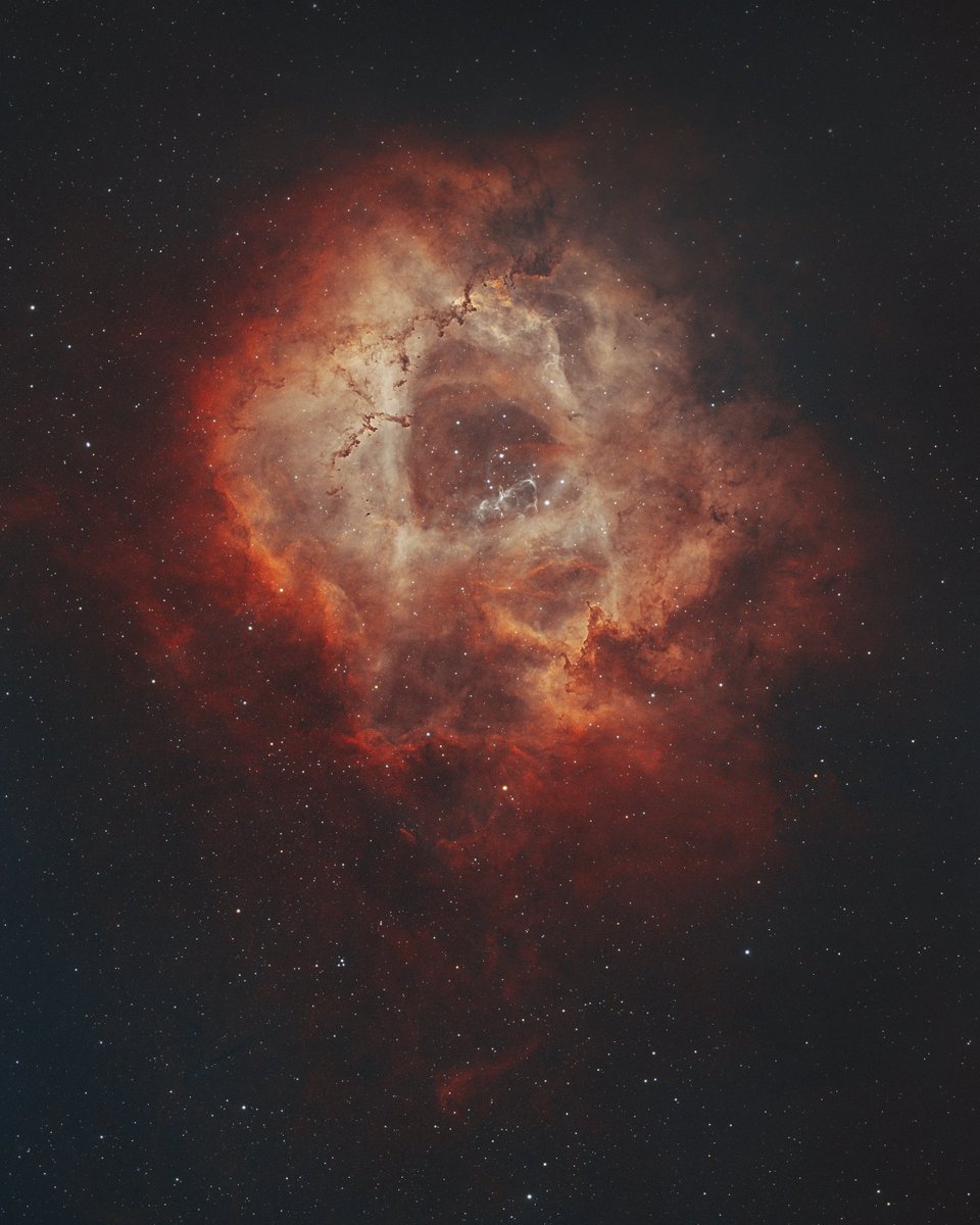 Managed a few short hours on the Rosette last night - HOO Forax #Astrophotography #astronomy #Universe