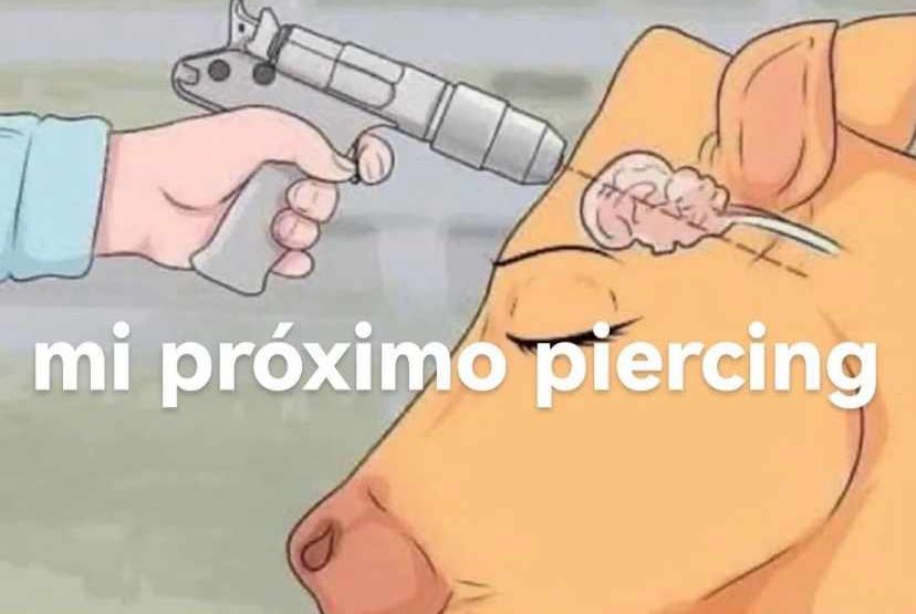 alfredosastree's tweet photo. esté piercing me está haciendo ojitos https://t.co/8ntvw7wDD6