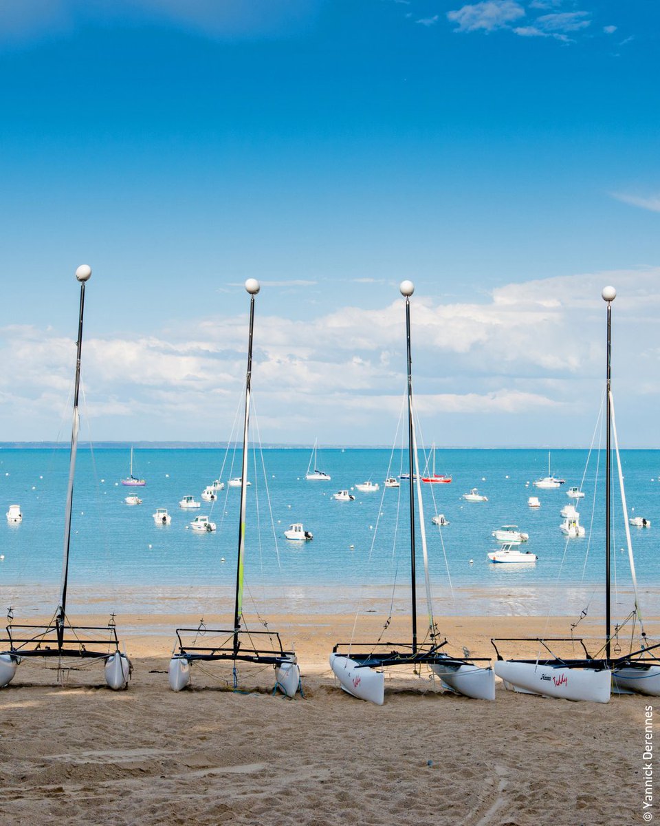 Région Bretagne tweet media