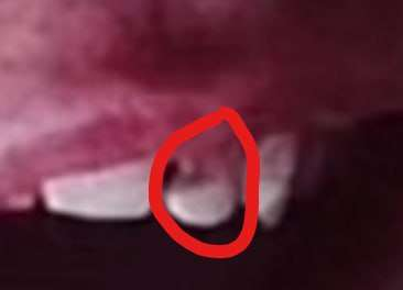 Der heilige Ofenkäse tweet media