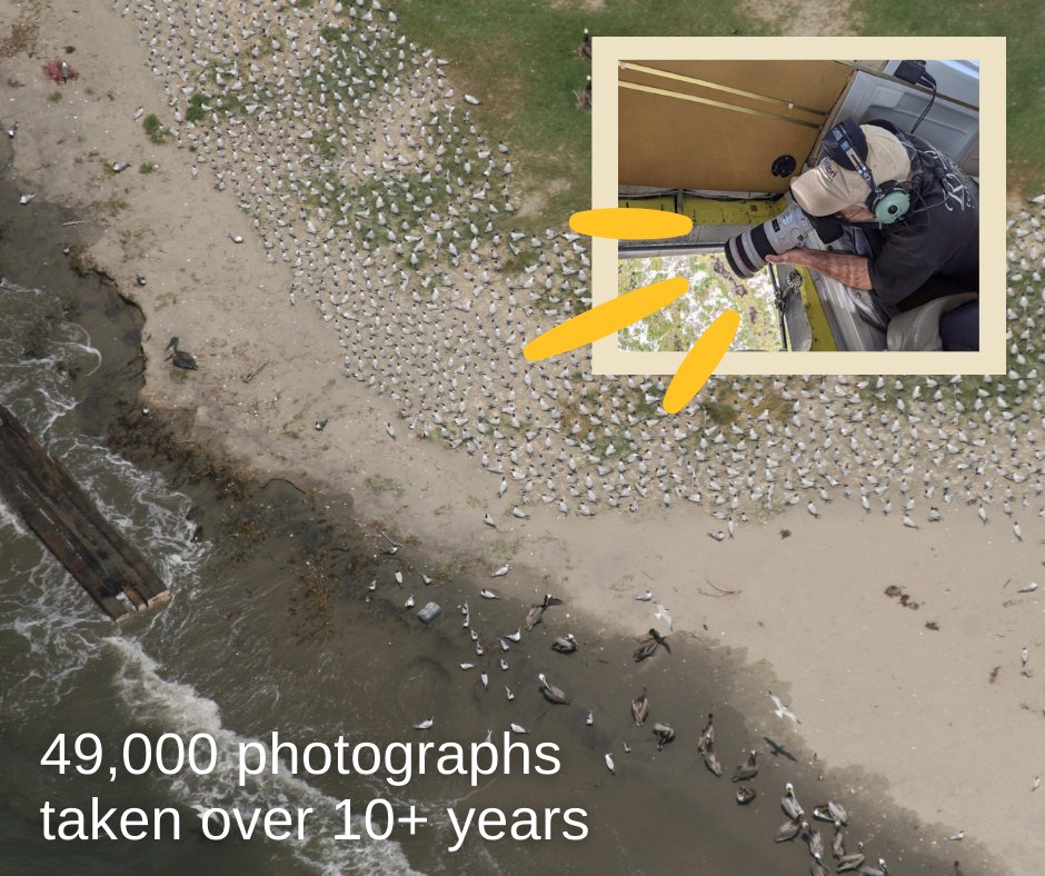 TheH2OInstitute's tweet photo. Announcing a new easy-to-use tool to search nesting coastal bird populations along the northern Gulf of Mexico, https://t.co/2oiUcSdVqx 

More about the project here https://t.co/GOic5mTREj and here https://t.co/bsj1HgjrmQ

@USFWS, @LouisianaCPRA, @LDWF https://t.co/bc9rppWujN