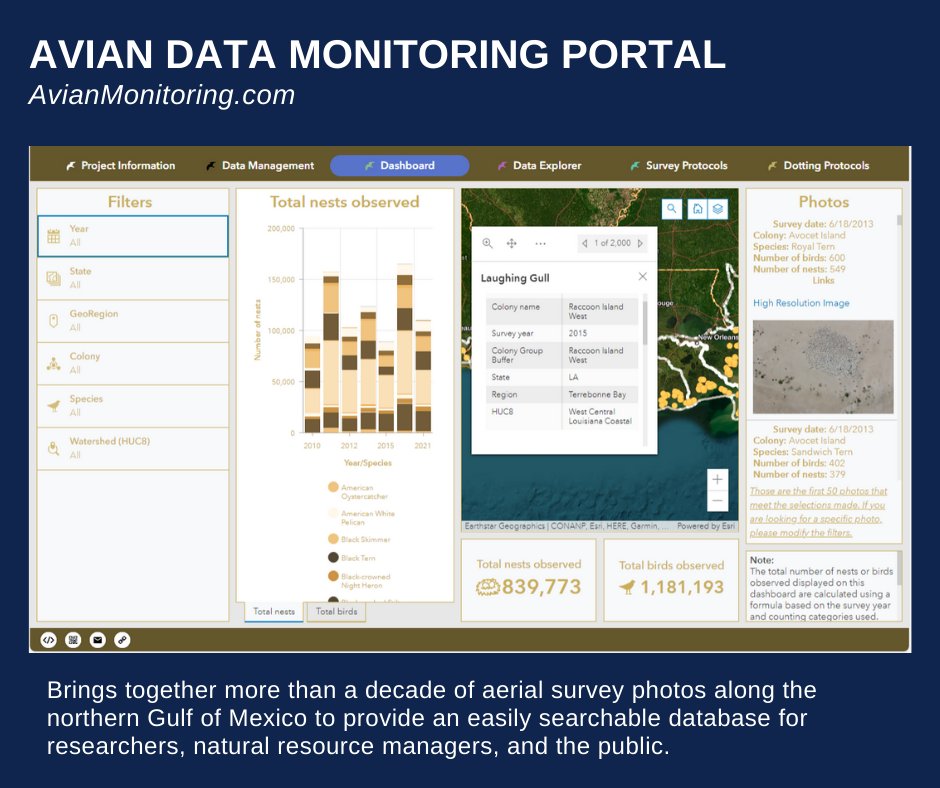 TheH2OInstitute's tweet photo. Announcing a new easy-to-use tool to search nesting coastal bird populations along the northern Gulf of Mexico, https://t.co/2oiUcSdVqx 

More about the project here https://t.co/GOic5mTREj and here https://t.co/bsj1HgjrmQ

@USFWS, @LouisianaCPRA, @LDWF https://t.co/bc9rppWujN