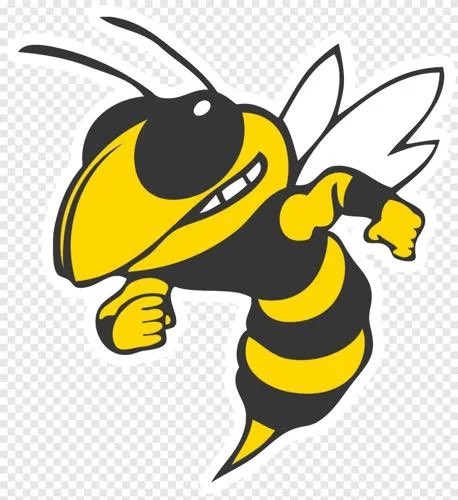 Excited to join the Calhoun Yellow Jacket family! Super fired up to be back in the game! Getting back to the heart of the matter! #MyCalling #FeedThePositiveDog @CHSJacketsFB @CalhounWBB @CalhounAthDept