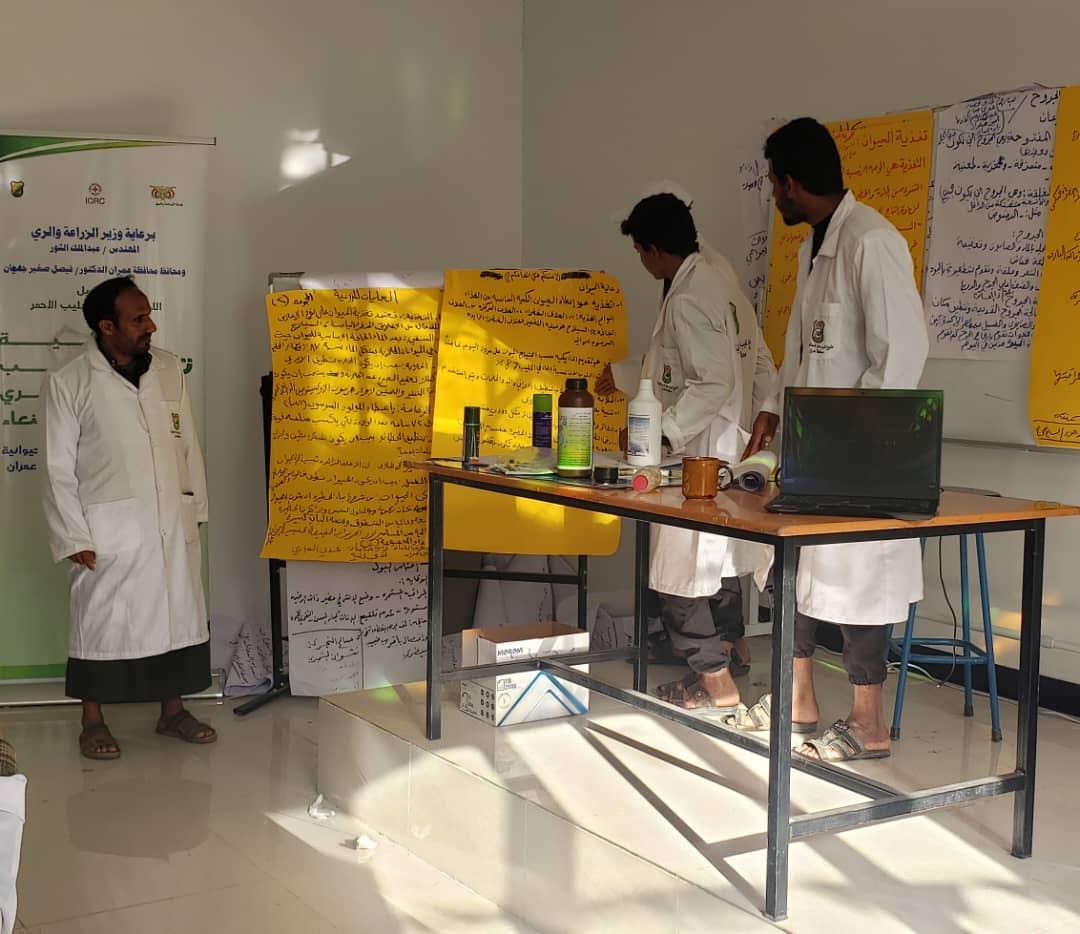 ICRC_ye's tweet photo. The  ICRC has supported a training program for 25 farmers in #Amran, to improve local veterinary health care practices. https://t.co/tea4T7apRG