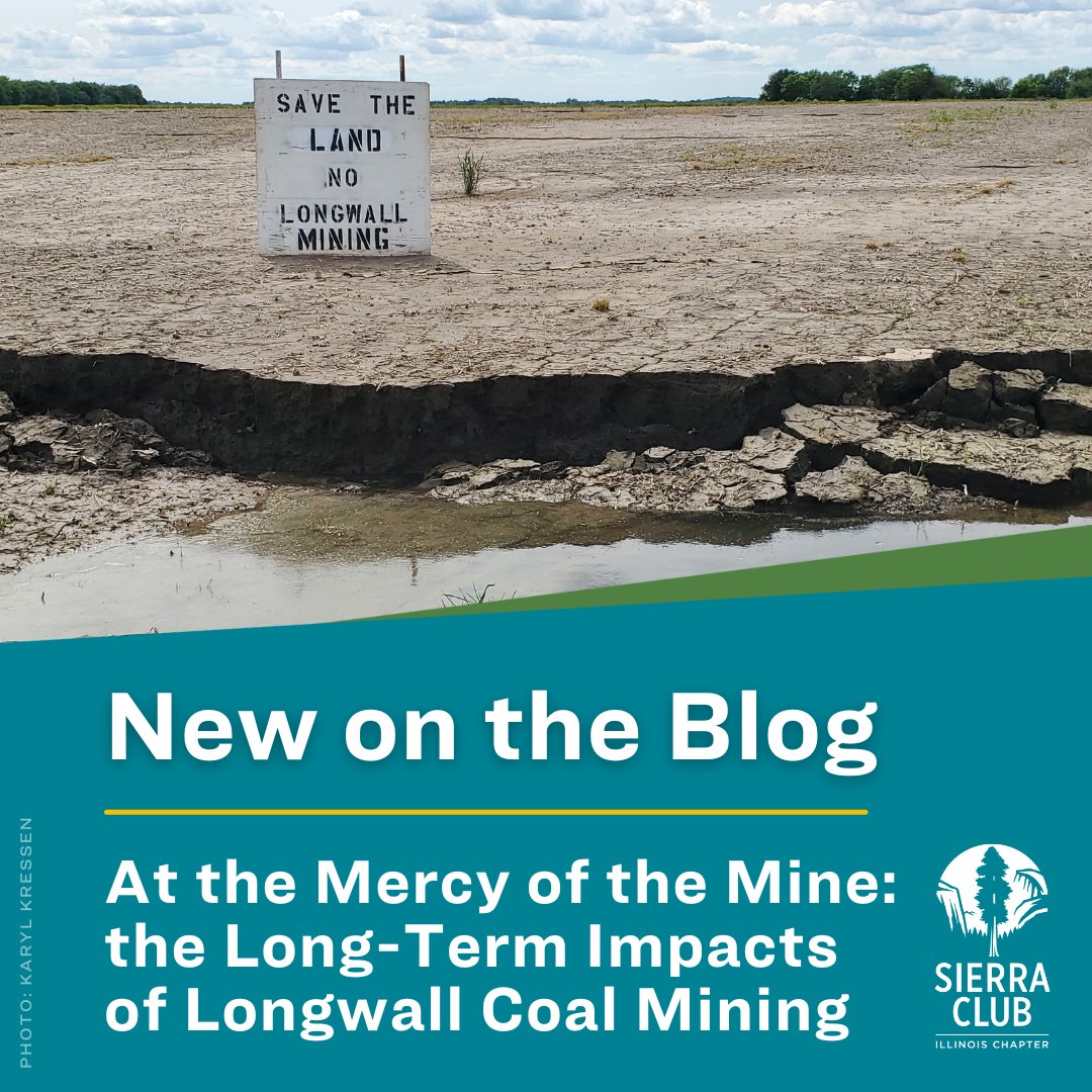 SierraClubIL's tweet photo. In the past 3 years, Sierra Club member Karyl Dressen has watched the fields on her family’s farm be subsided, plummeting nearly 7 feet. The fields have literally “gone down the drain” because of #longwallmining.
Read more in our new blog: https://t.co/TiZsCQD8op https://t.co/4rtCeZS47H