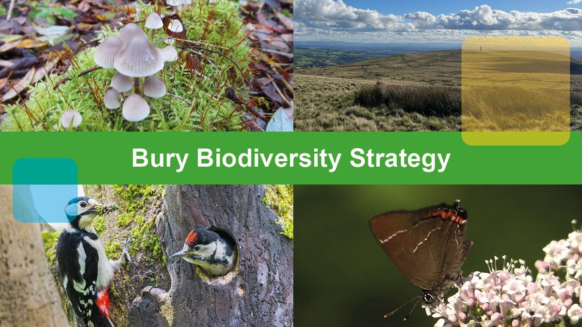 BuryCouncil's tweet image. Bury Council is drawing up the borough’s first biodiversity strategy and is asking residents for their views. mynewsdesk.com/uk/bury-counci…
