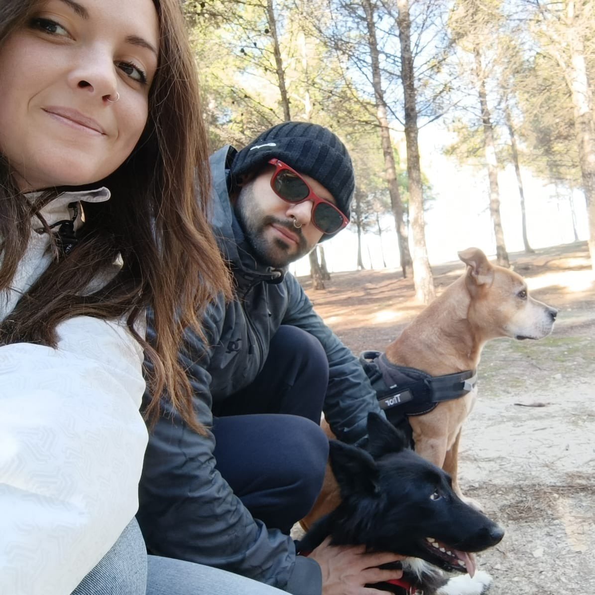 Proyecto Cañada tweet media