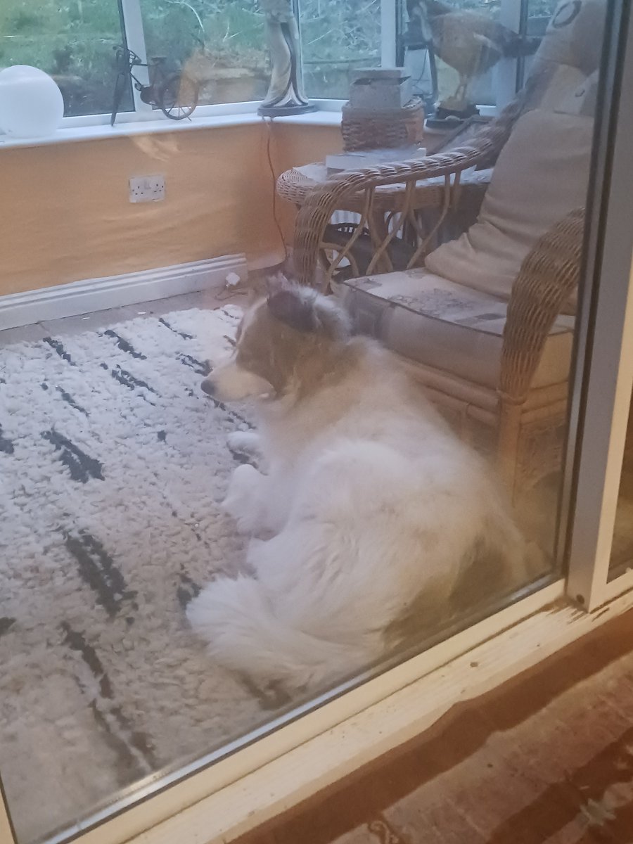 PublishingRia's tweet photo. Ughhhh locked out of my own offices?? Fine then https://t.co/41slO6PfEz