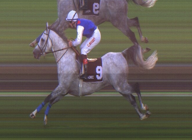 Al Ruwais (Gr3PA)
1200m, Abu Dhabi, UAE

1. HEROS DE LAGARDE (FR)
2. Nadia Du Loup (FR)
3. Inqath (QA)

Dist: 3.25, 2.75 Time: 1.15.46