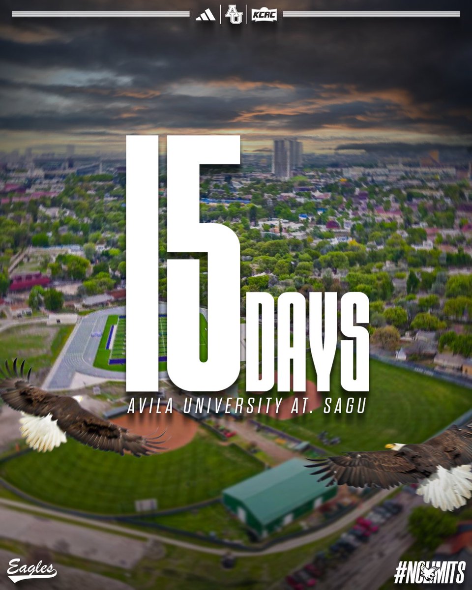 Avila Baseball tweet media